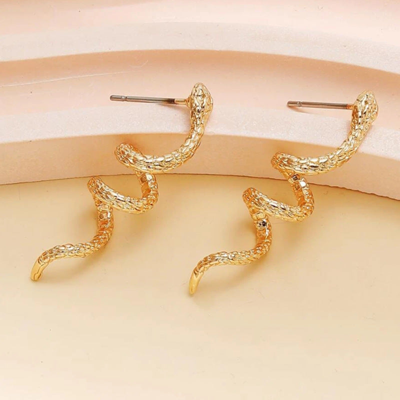 Snakelike Winding Vintage Alloy Stud Earrings